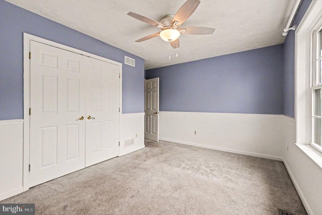Picture 41
