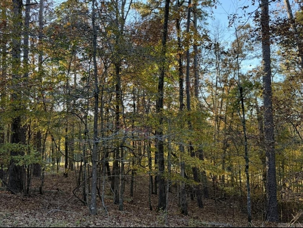 Picture 8