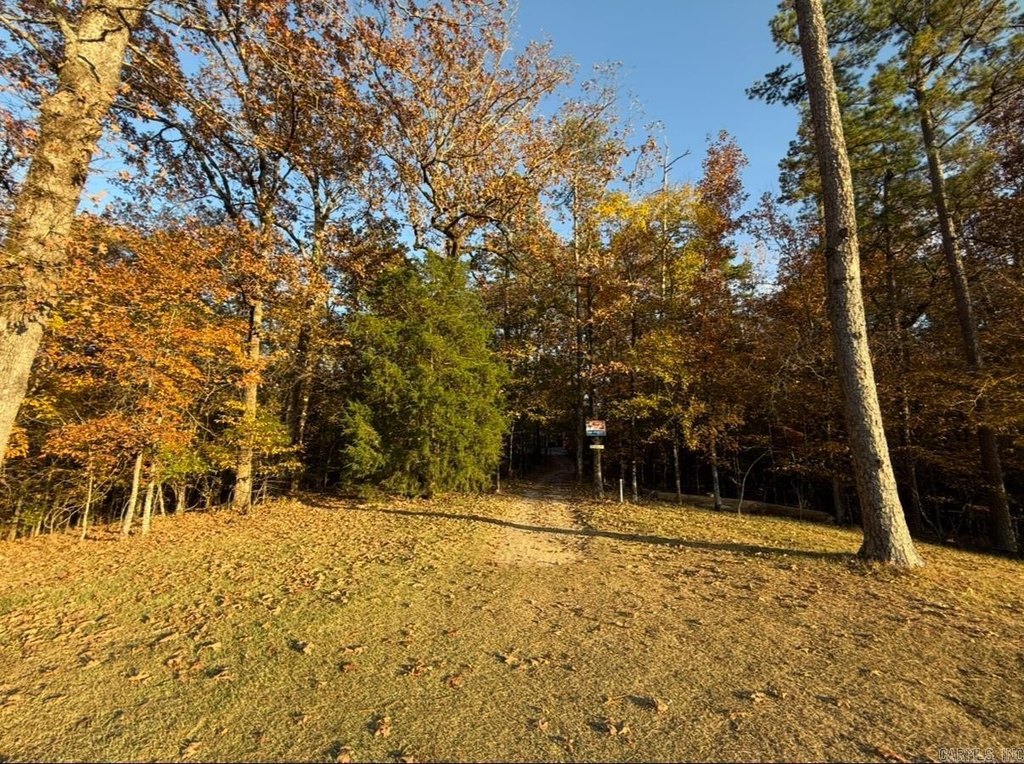 Picture 7