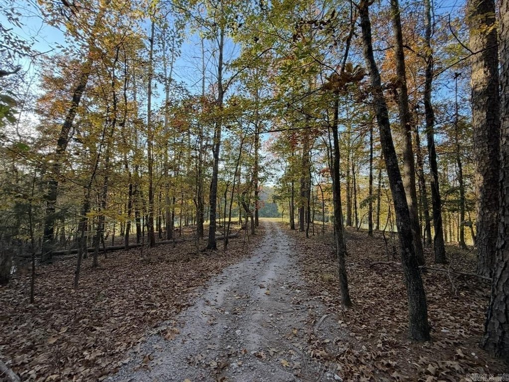 Picture 17