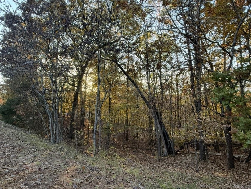 Picture 9