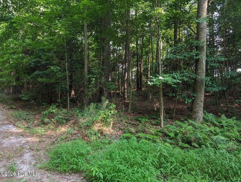Land, Clarkton, NC