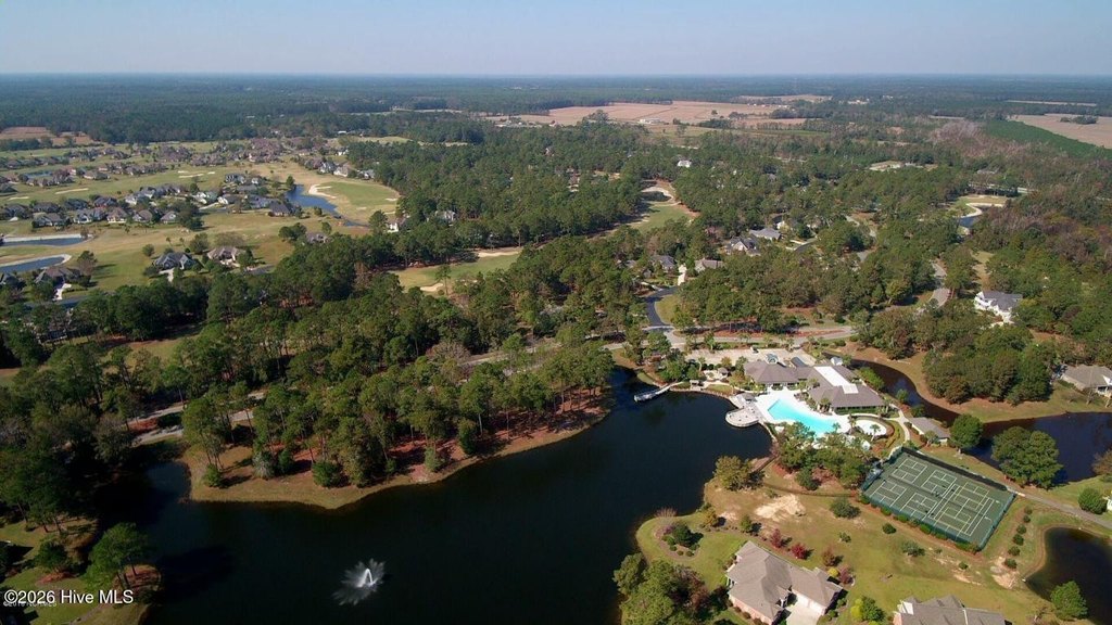 Picture 7
