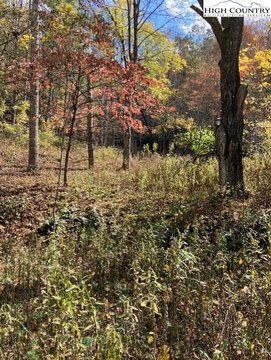 Scenic Land Parcel on Hwy 194