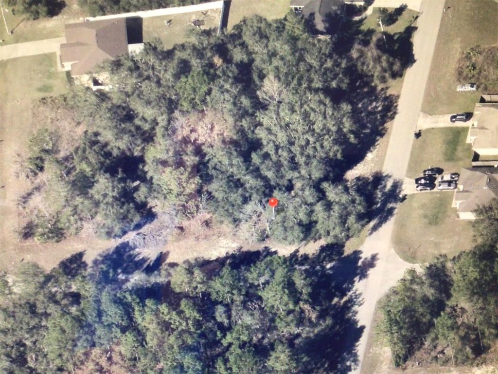 Picture 5