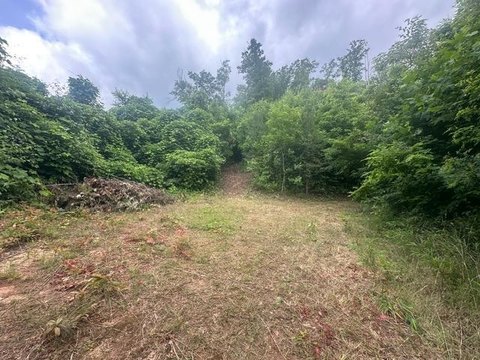 Secluded Unrestricted Acres Near Sylva