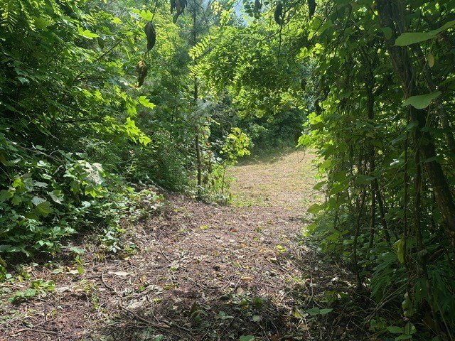 Picture 8