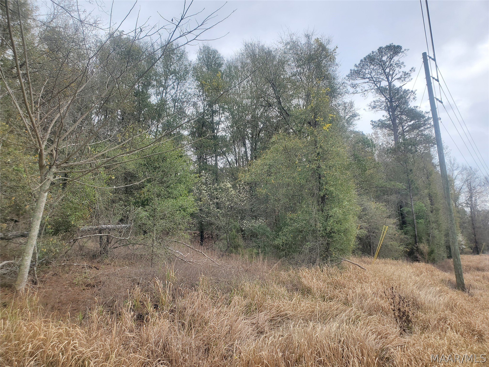 Unrestricted Land in Quiet County