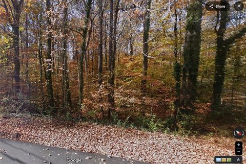 Lawrenceville Wooded Lot For Sale