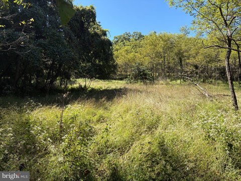 Land, SPRINGFIELD, WV