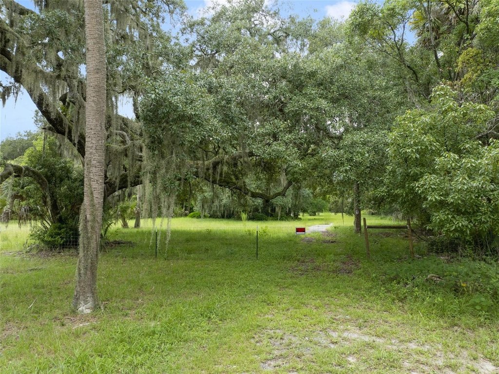Picture 8
