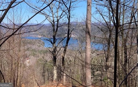 Lake & Mountain View Estate