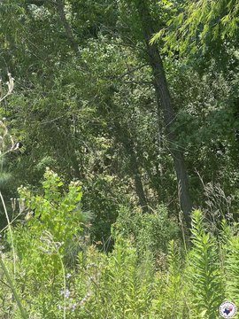 Wake Village Land For Sale