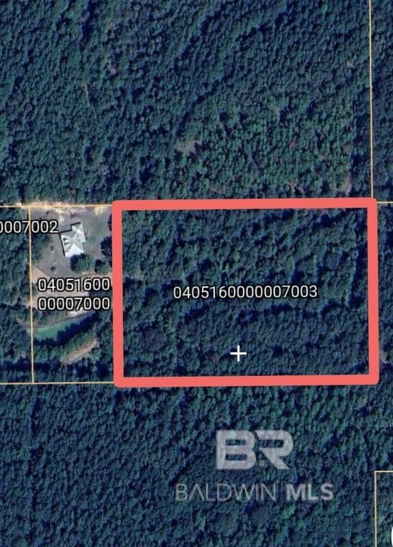 Picture 14