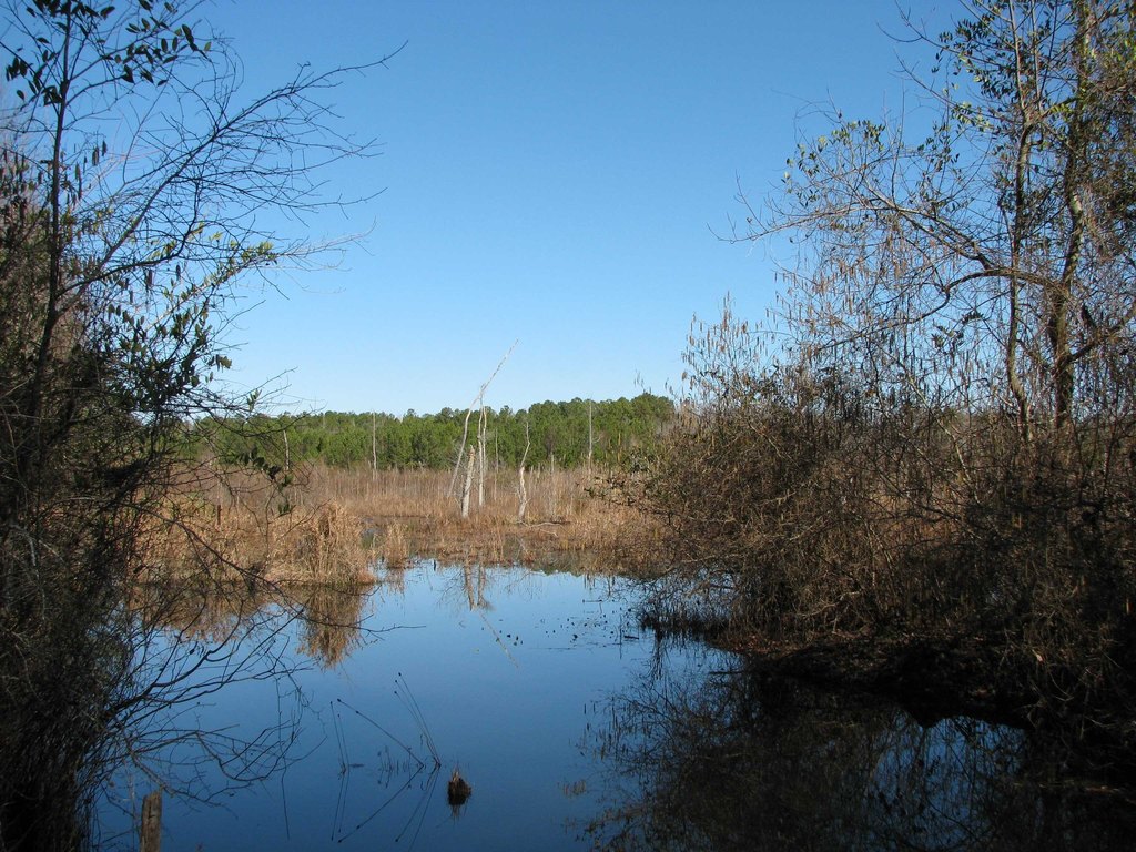 Picture 14