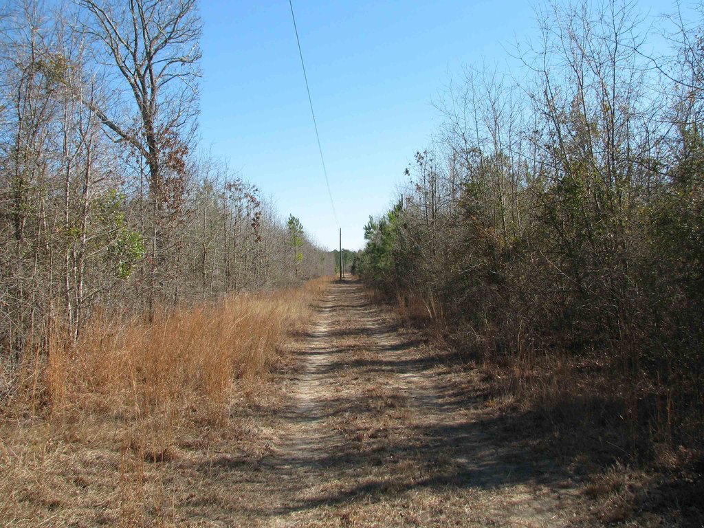 Picture 17