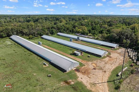 37.28 Acres in Joaquin ISD