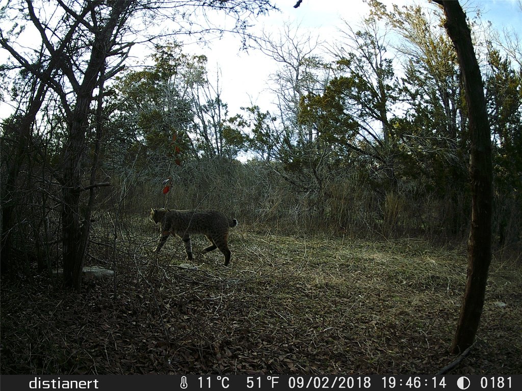 Picture 16