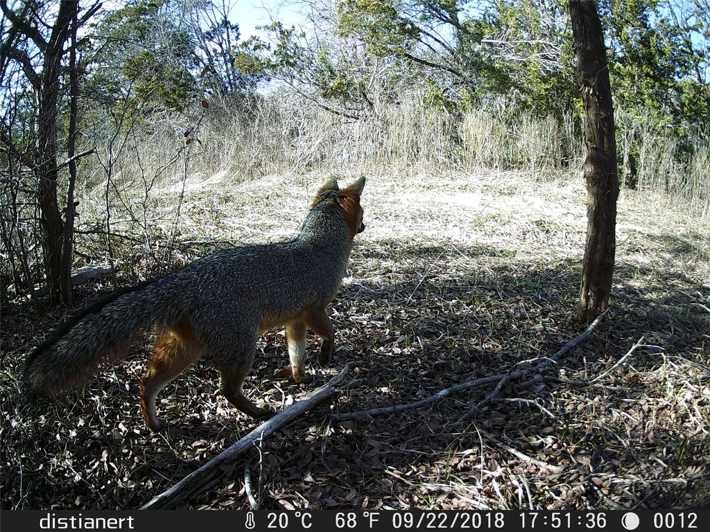 Picture 17