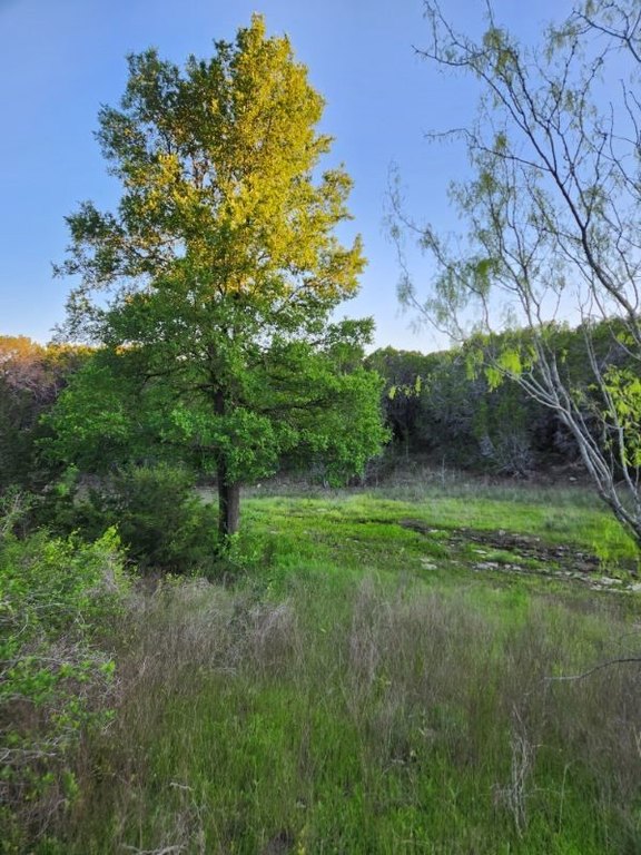 Picture 4