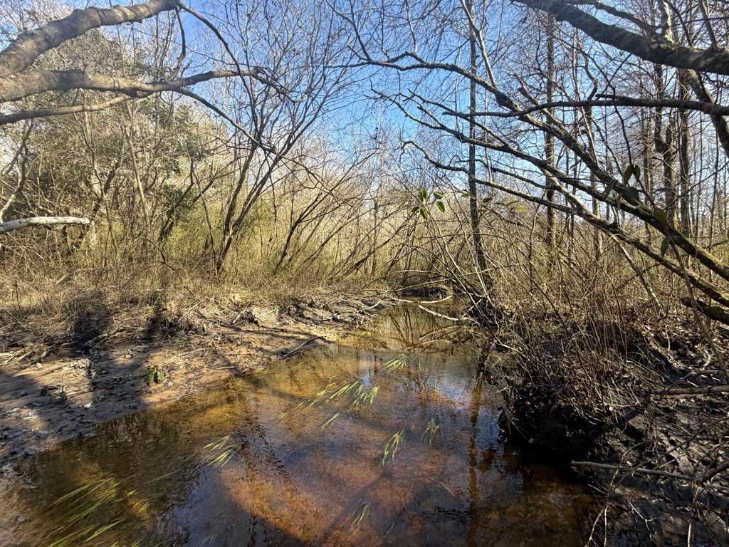 Picture 13