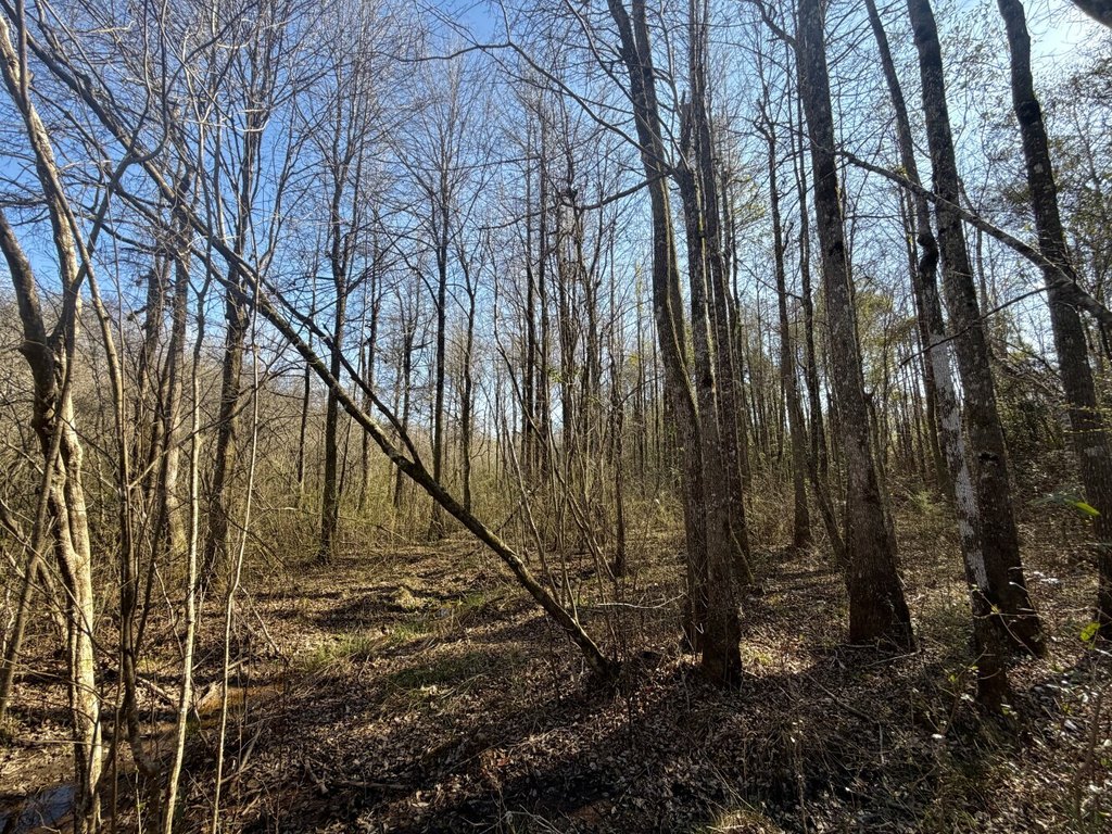 Picture 12