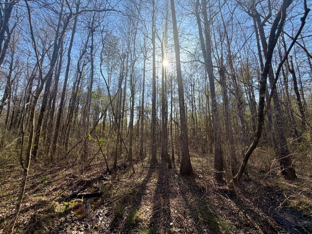 Picture 11