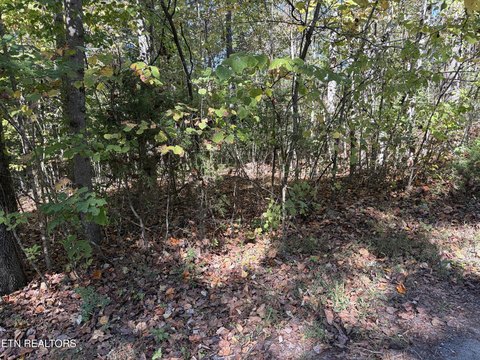 Lots & Acreage, New Tazewell, TN