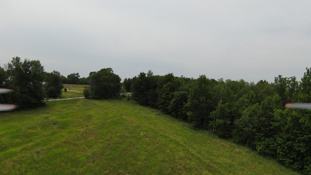Picture 8