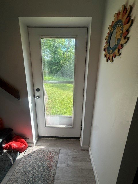 Picture 19