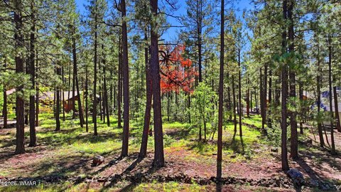 Land, Pinetop, AZ