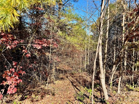 Land Parcel with Mountain Views