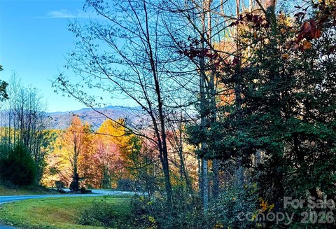 Land Parcel with Mountain Views