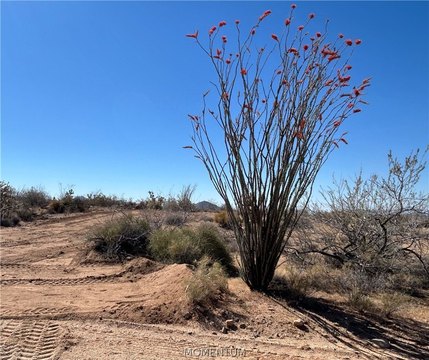Land, Yucca, AZ