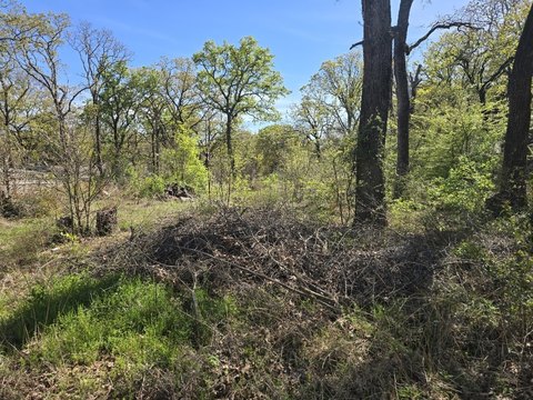 Waterfront Buildable Lot
