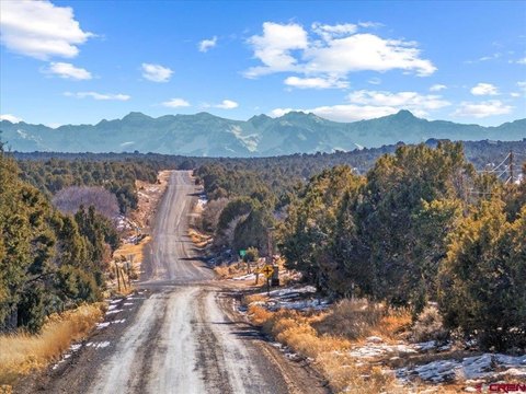 Montrose, CO Land For Sale