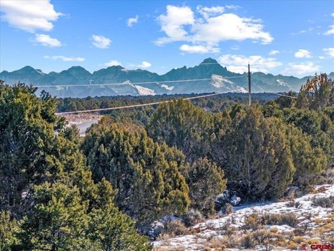 Montrose, CO Land For Sale
