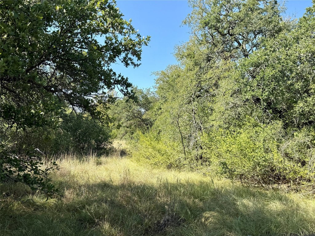 Picture 36