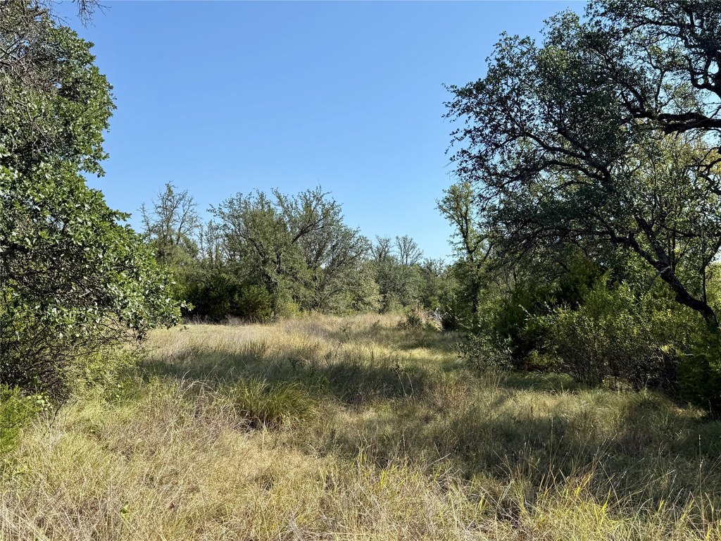 Picture 30