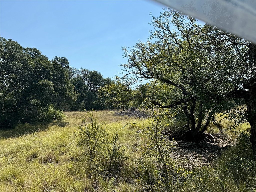 Picture 29
