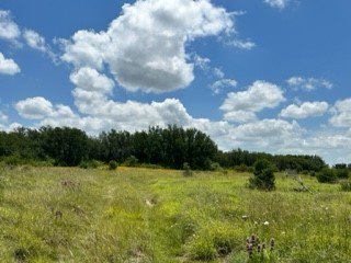 Picture 22