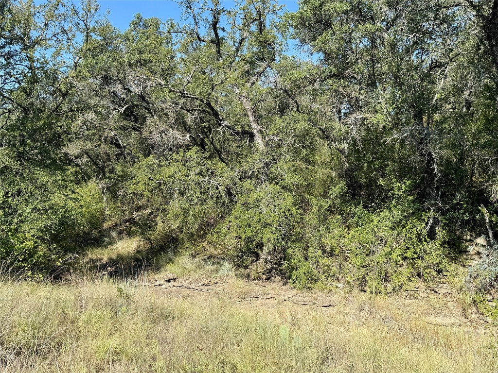 Picture 38