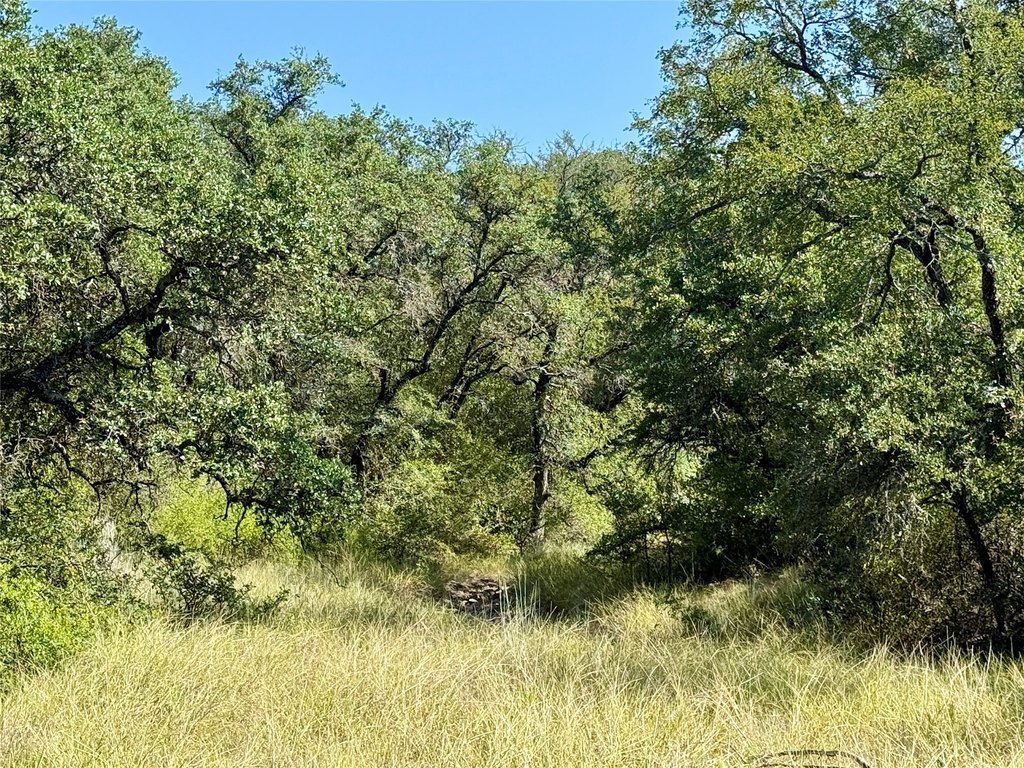 Picture 28
