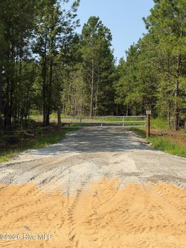 LAND - Midville, GA