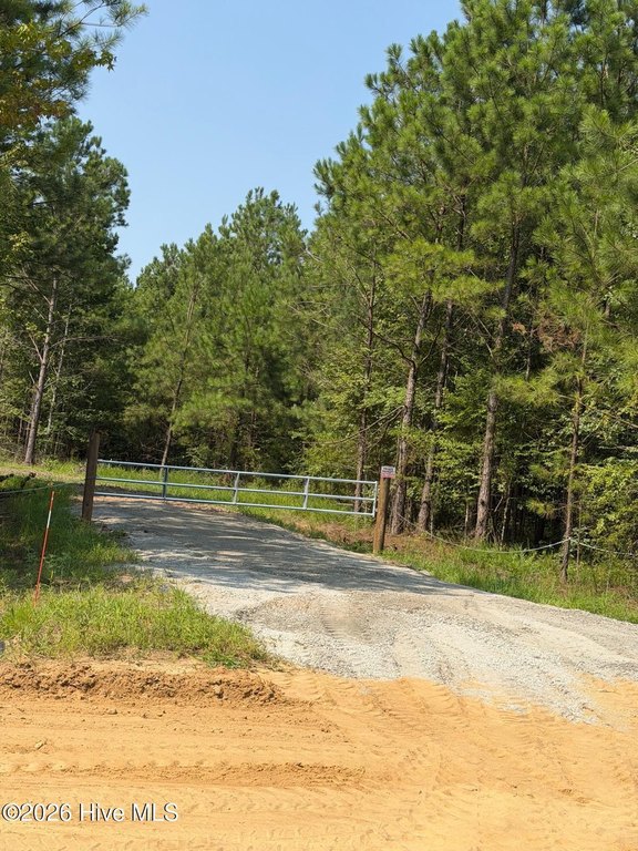 Picture 3