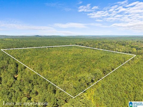 LAND/LOTS, CLANTON, AL