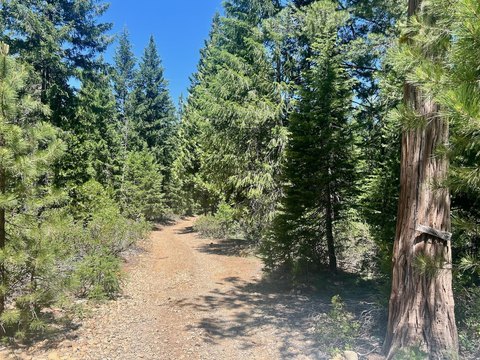 Johnsville Off-Grid Living Land