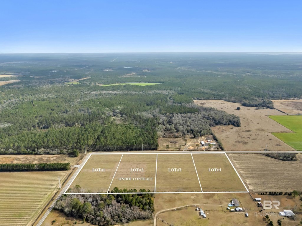 Picture 7