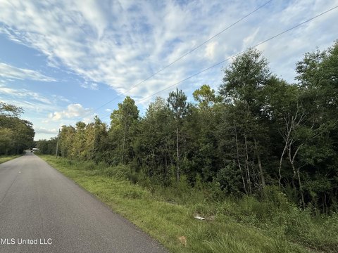 Poplarville Land with Highway Frontage