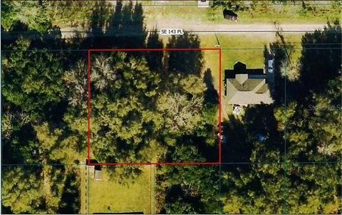LAND - SUMMERFIELD, FL